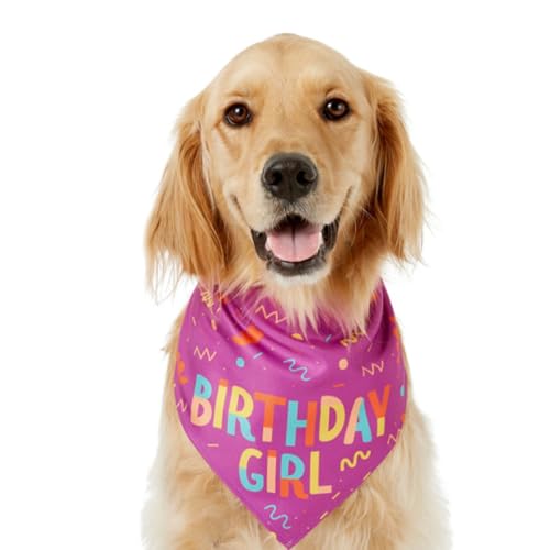 Zestivra Hundetücher | Geburtstagsjunge Hund Bandana Spielzeug | Weiches Dreieckstuch Für Welpen Aktivitäten Im Frühling Hundezubehör Mit Klettverschluss Zestivra Hundetücher | Geburtstagsjunge Hund Bandana Spielzeug | Weiches Dreieckstuch Für Welpen Aktivitäten Im Frühling Hundezubehör Mit Klettverschluss von Zestivra