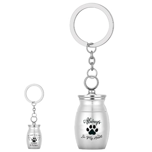 Zestivra Urnen-Schlüsselanhänger für Haustiere, Gedenk-Andenken-Charm, Aschehalter, Zubehör, Edelstahl, Einäscherungsschmuck, Erinnerungsbox für Hundeliebhaber, Katzenbesitzer von Zestivra