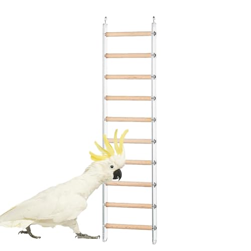 Zestivra Vogelleiter für Käfig, Vogelkäfigleiter - Klettern Barchen Käfigspielzeug | Flossenleitertrainingspielzeug mit 360 ° -rotierbarer Haken für Cockatiel Conure Selakeet Lovebirds von Zestivra