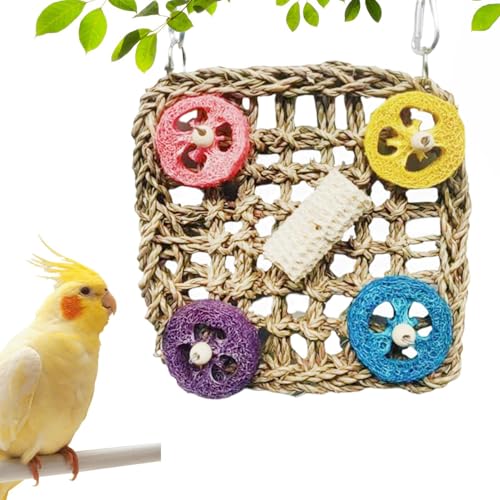 Zestivra Vogelspielzeug Für Wellensittiche - Bunte Natürliche Vogelkäfig Spielzeuge | Kleintierzubehör Für Käfig Spielplatz Futtersuche Training Innenkäfig Außenvoliere Zuhause Zestivra Vogelspielzeug Für Wellensittiche - Bunte Natürliche Vogelkäfig Spielzeuge | Kleintierzubehör Für Käfig Spielplatz Futtersuche Training Innenkäfig Außenvoliere Zuhause von Zestivra