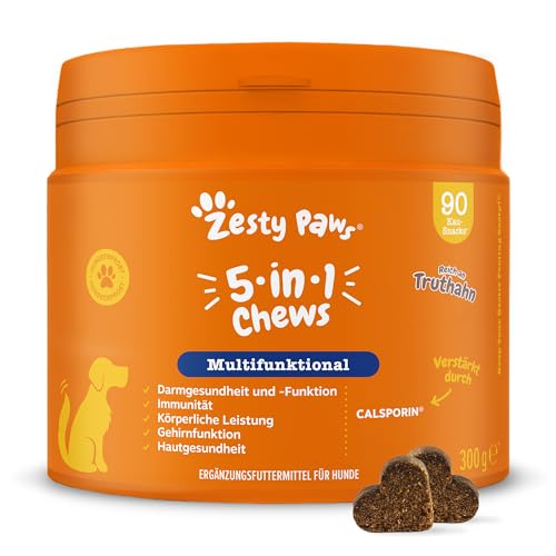 Zesty Paws 5-in-1 Multivitamin für Hunde | Biotin für Hunde für das Gehirn | Darmfunktion & Haut, Wohlbefinden, Leistungsfähigkeit und gegen Stress | 90 STK von Zesty Paws