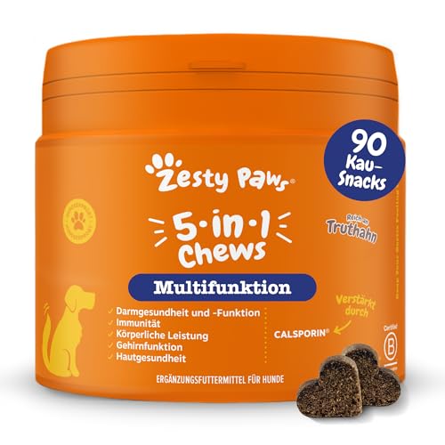 Zesty Paws 5-in-1 Multivitamin für Hunde | Weiche Hunde Leckerlis - Biotin für Hunde für das Gehirn | Darmfunktion & Haut, Wohlbefinden, Leistungsfähigkeit und gegen Stress | Für alle Hunde | 90 STK von Zesty Paws