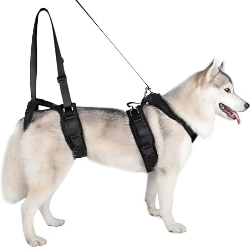 Zetapex Hundegeschirr (Rückseite, M, Schwarz, Orthopädische Unterstützung, Anpassungsfähig, Robust, Einfach zu Reinigen) von Zetapex