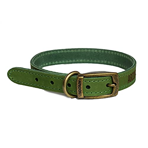 Hundehalsband Leder, personalisiert, graviert - Grün/Mittel (Optional: Leine) von National Engraver
