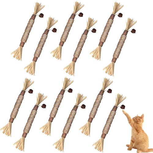 ZexJpr 12 StüCk Katzenminze Spielzeug, Katzenspielzeug Mit Katzenminze, Zahnpflege Katzen Und Stick Katze, Katzenspielzeug, Hilfe Katzen Mundhygiene Und Zahnpflege von ZexJpr