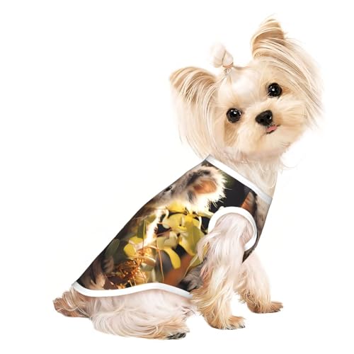 Atmungsaktives ärmelloses T-Shirt mit süßem Koala-Pflanzendruck, leichtes Hunde- und Katzen-Outfit, dehnbares Tanktop für kleine Haustiere Atmungsaktives ärmelloses T-Shirt mit süßem Koala-Pflanzendruck, leichtes Hunde- und Katzen-Outfit, dehnbares Tanktop für kleine Haustiere von ZhRiYan