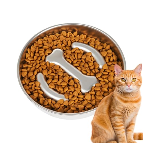 Zhadyu Hundefutter langsame Futtermittelschale, langsam fütterungshundesschale - Edelstahl -Hundefutter Fütterungsschale langsame Futtermittel - Medium große Rassen Haustierpflege von Zhadyu
