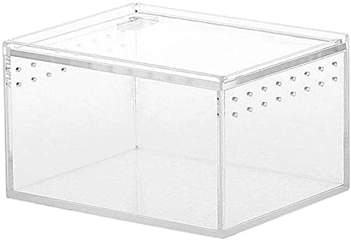 Acryl-Insekten-Futterbox,Tragbares Terrarien für Reptilien und Amphibien, Transparente Acryl Reptilienzuchtbox für Eidechse, Spide, Hornfrosch, Käfer (10,3x8,3 x6CM) von ZhanDouB