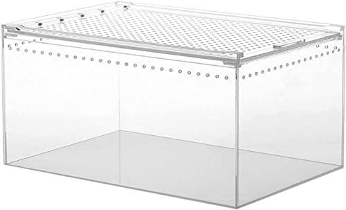 Acryl-Insekten-Futterbox,Tragbares Terrarien für Reptilien und Amphibien, Transparente Acryl Reptilienzuchtbox für Eidechse, Spide, Hornfrosch, Käfer (30x20x15CM) von ZhanDouB
