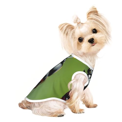 L Pet atmungsaktives ärmelloses T-Shirt – bunter Marienkäfer-Druck, dehnbare Weste, leichtes Tanktop für kleine bis mittelgroße Haustiere L Pet atmungsaktives ärmelloses T-Shirt – bunter Marienkäfer-Druck, dehnbare Weste, leichtes Tanktop für kleine bis mittelgroße Haustiere von ZhanGM