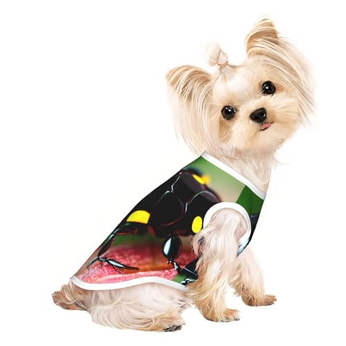 L Pet atmungsaktives ärmelloses T-Shirt – buntes Marienkäfer-Druck, dehnbare Weste, leichtes Tanktop für kleine bis mittelgroße Haustiere L Pet atmungsaktives ärmelloses T-Shirt – buntes Marienkäfer-Druck, dehnbare Weste, leichtes Tanktop für kleine bis mittelgroße Haustiere von ZhanGM