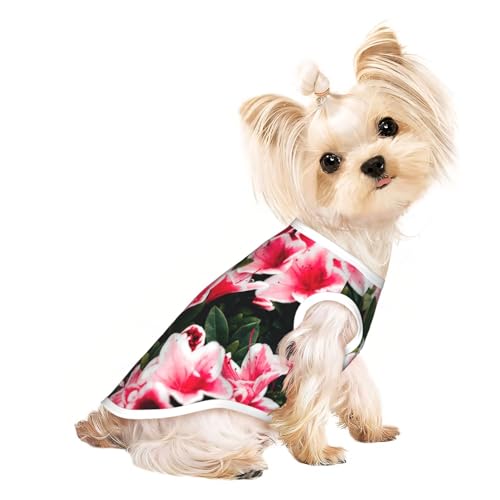 M Pet atmungsaktives ärmelloses T-Shirt – Beauty-rosa Blumendruck, dehnbare Weste, leichtes Tanktop für kleine bis mittelgroße Haustiere M Pet atmungsaktives ärmelloses T-Shirt – Beauty-rosa Blumendruck, dehnbare Weste, leichtes Tanktop für kleine bis mittelgroße Haustiere von ZhanGM