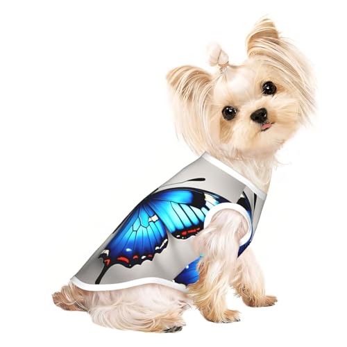 M Pet atmungsaktives ärmelloses T-Shirt – Blauer Schmetterlingsdruck, dehnbare Weste, leichtes Tanktop für kleine bis mittelgroße Haustiere M Pet atmungsaktives ärmelloses T-Shirt – Blauer Schmetterlingsdruck, dehnbare Weste, leichtes Tanktop für kleine bis mittelgroße Haustiere von ZhanGM
