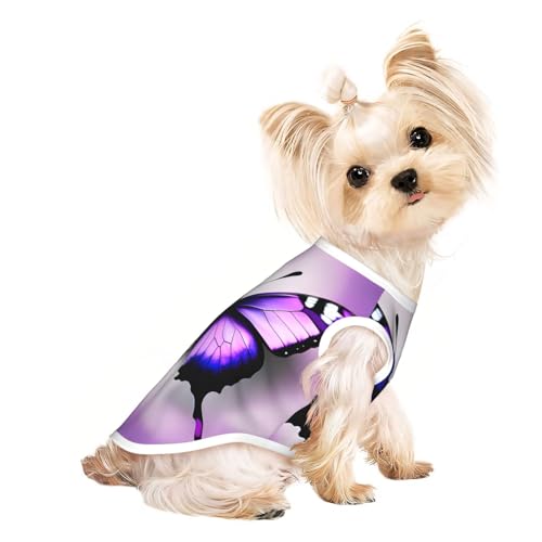 M Pet atmungsaktives ärmelloses T-Shirt – lila Schmetterlings-Druck, dehnbare Weste, leichtes Tanktop für kleine bis mittelgroße Haustiere M Pet atmungsaktives ärmelloses T-Shirt – lila Schmetterlings-Druck, dehnbare Weste, leichtes Tanktop für kleine bis mittelgroße Haustiere von ZhanGM