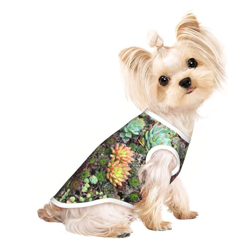 S Pet atmungsaktives ärmelloses T-Shirt – Sukkulenten-Druck, dehnbare Weste, leichtes Tanktop für kleine bis mittelgroße Haustiere S Pet atmungsaktives ärmelloses T-Shirt – Sukkulenten-Druck, dehnbare Weste, leichtes Tanktop für kleine bis mittelgroße Haustiere von ZhanGM