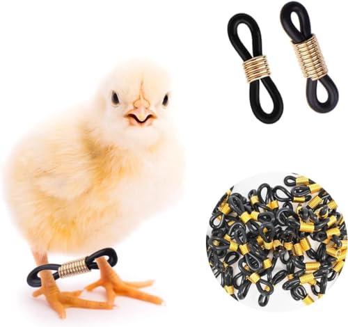 50 Stück schwarze Baby-Küken-Spreizbein-Bänder, verstellbare Huhn-Hobble-Hosenträger zur Reparatur von Spfüttern, Geflügelpflegezubehör, Vogelenten, frisch geschlüpft, Geflügelfütterungs- und 50 Stück schwarze Baby-Küken-Spreizbein-Bänder, verstellbare Huhn-Hobble-Hosenträger zur Reparatur von Spfüttern, Geflügelpflegezubehör, Vogelenten, frisch geschlüpft, Geflügelfütterungs- und von ZhangyiHot