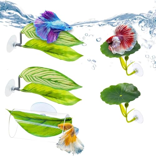 5-teiliges Fischspielzeug-Set, Betta-Hängematte und Aquarium-Dekoration mit weichen Kunststoffpflanzen, Acrylrohr-Tunnel und Ersatz-Saugnäpfen für Betta-Aquarium-Dekorationen 5-teiliges Fischspielzeug-Set, Betta-Hängematte und Aquarium-Dekoration mit weichen Kunststoffpflanzen, Acrylrohr-Tunnel und Ersatz-Saugnäpfen für Betta-Aquarium-Dekorationen von Zheigaoxea