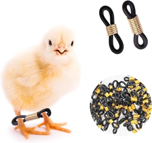 50 Stück Baby-Küken, Spuckbein, Hobble, Huhn-Bänder, verstellbare Hobbling-Hosenträger für Spruddle, Beinreparatur, Geflügel, Pflegezubehör für Küken, Vogel, Wachteln, Enten, frisch geschlüpft 50 Stück Baby-Küken, Spuckbein, Hobble, Huhn-Bänder, verstellbare Hobbling-Hosenträger für Spruddle, Beinreparatur, Geflügel, Pflegezubehör für Küken, Vogel, Wachteln, Enten, frisch geschlüpft von Zhhuoc