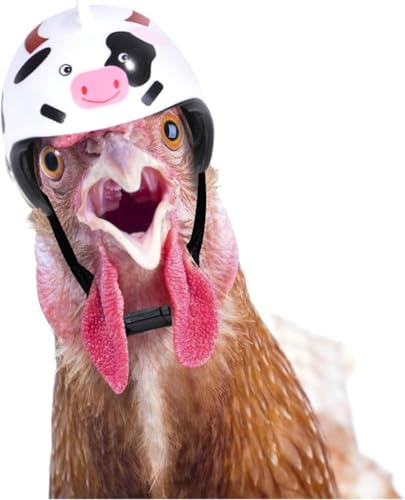 Weißer Hühnerhelm, elegante Hühnermütze, verstellbares Gummiband, kreativ, lustig, Haustier-Spitzenhut, Zubehör, modischer Hut für Hahn, Ente, Papageien, Geflügel, stilvolles Show, Kostüm von Zhhuoc