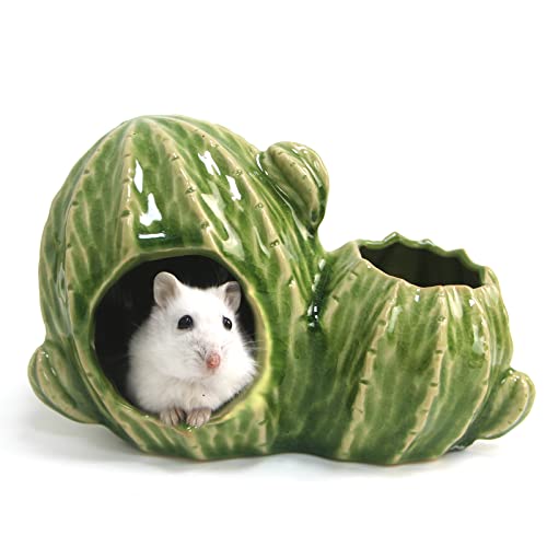 Zhilishu Keramik-Hamster-Versteck, Zwerghamsterhaus mit Doppeltüren, syrische Hamsterhütte, Versteck, Lebensraum, Dekoration, Anti-Biss-Versteck, Haushöhle für Mäuse, Rennmäuse (hellgrün) von Zhilishu