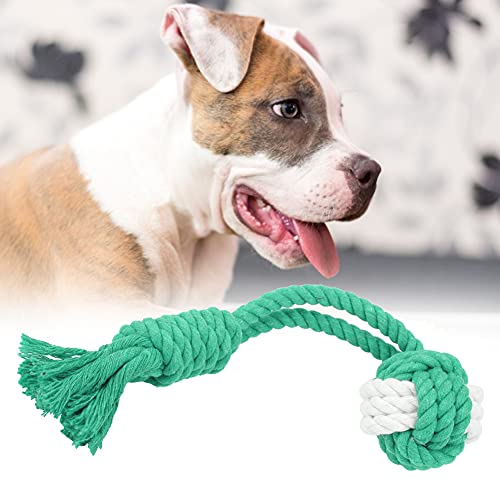 Zhjvihx Professionelles Welpen-Kauspielzeug, Haustier-Kauspielzeug, hohe Qualität, sicher für Katze, Hund, umweltfreundlich(Green) von Zhjvihx