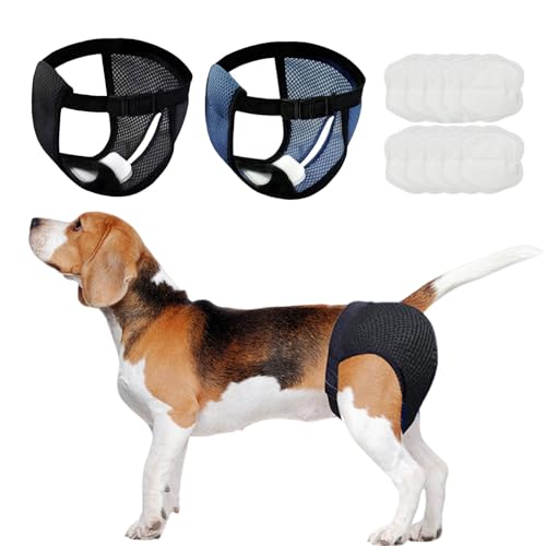 2er Pack Hundewindeln Mit 10 Damenbinden,Verstellbare Und Wiederverwendbare Läufigkeitshose Für Hündinnen Hundewindeln,Waschbare Schutzhose Für Weibchen Hunde Läufigkeit Schwarz Und Blau, XL von ZhongShuang