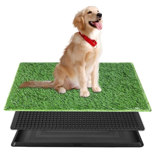 Zhuxial Hundegras mit Tablett, für den Innenbereich, wiederverwendbares waschbares Kunstrasen für Hunde, perfektes Töpfchentraining für drinnen und draußen (Gras mit Tablett, 50,8 x 63,5 cm) von Zhuxial