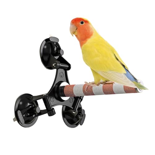 Ziabxhn Bird Barch Stand mit Saugnapfbecher, starker Saugnapfbirge Barsch - stange - Ruhezubehör mit drei leistungsstarken Saugnapfbechern für Sittiche, Cockatiels, Lovebirds, Wellensittiche, mittlere von Ziabxhn