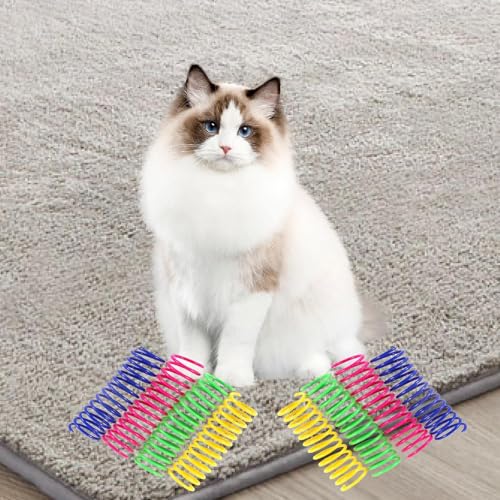 Zialofi 8 Katzen Feder Spielzeug Set, Spiralspielzeug für Kätzchen, 8,9 cm, Interaktive Fitness für Hauskatzen Zialofi 8 Katzen Feder Spielzeug Set, Spiralspielzeug für Kätzchen, 8,9 cm, Interaktive Fitness für Hauskatzen von Zialofi