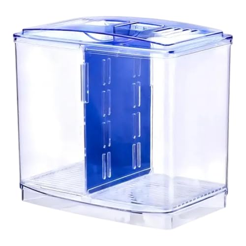 Ｚｉａｌｏｆｉ Betta Aquarium mit Trennwand für Schreibtisch Und Wohnzimmer von Ｚｉａｌｏｆｉ