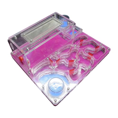 Ｚｉａｌｏｆｉ DIY Insektenhaus für Kinder, rechteckiges Vivarium mit Futterbereich, Rot von Ｚｉａｌｏｆｉ