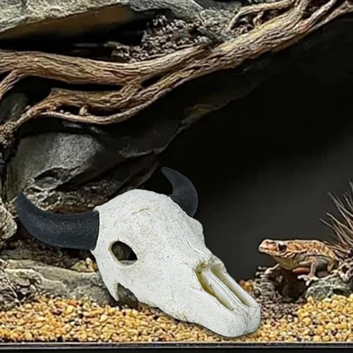 Zialofi Fischtank Zubehör Reptilien Tank Dekor Skelett Tierkopf für Höhlenlandschaft, Schwarzer Ochsenhorn Zialofi Fischtank Zubehör Reptilien Tank Dekor Skelett Tierkopf für Höhlenlandschaft, Schwarzer Ochsenhorn von Zialofi