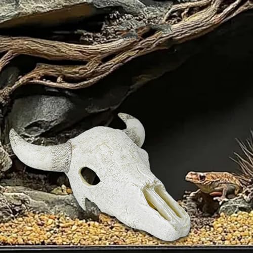 Zialofi Fischtank Zubehör Reptilien Tank Dekor Skelett Tierkopf für Höhlenlandschaft, Weißes Ochsenhorn Zialofi Fischtank Zubehör Reptilien Tank Dekor Skelett Tierkopf für Höhlenlandschaft, Weißes Ochsenhorn von Zialofi