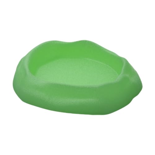 Zialofi Futterschale für Reptilien, Wassernapf, Terrarium Zubehör für Bartagamen Und Eidechsen, GrÜn Zialofi Futterschale für Reptilien, Wassernapf, Terrarium Zubehör für Bartagamen Und Eidechsen, GrÜn von Zialofi