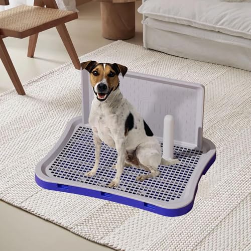 Zialofi Hunde Toilette für Welpen mit abnehmbarem Peehalter und Schutzwand für Kätzchen und Kaninchen, Klein Blau Zialofi Hunde Toilette für Welpen mit abnehmbarem Peehalter und Schutzwand für Kätzchen und Kaninchen, Klein Blau von Zialofi