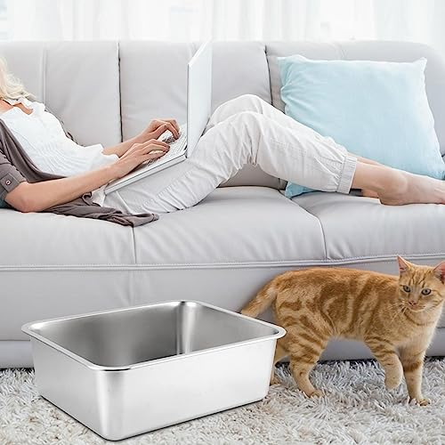 Zialofi Katzentoilette, Kätzchentoilette, Edelstahl, Oben Offen, Haustiertoilette, Großes Fassungsvermögen, Robuster Katzenstreubehälter, Leicht zu Reinigen, 50cmx35cmx10cm Zialofi Katzentoilette, Kätzchentoilette, Edelstahl, Oben Offen, Haustiertoilette, Großes Fassungsvermögen, Robuster Katzenstreubehälter, Leicht zu Reinigen, 50cmx35cmx10cm von Zialofi