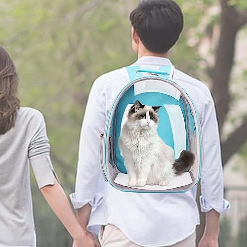 Ｚｉａｌｏｆｉ Katzenträger Rucksack, Haustier Reisetasche, Käfig, Tragbare Belüftung, Kleiner Hunde Wanderrucksack, Kleine Hunde Und Katzen, Reiseträger für Reisen, Blau von Ｚｉａｌｏｆｉ