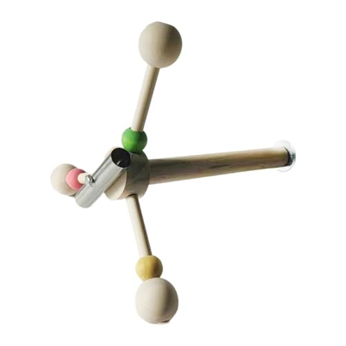 Ｚｉａｌｏｆｉ Papageienspinnenriesenrad Tragbar für Kleine Mittelgroße Vögel Lovebirds von Ｚｉａｌｏｆｉ