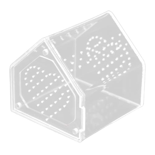 Ｚｉａｌｏｆｉ Springspinnen Terrarium Als Insektenbehälter Und Aufzuchtbox EIN Vogelspinnen Gehege für Skorpione Aus Schlagfestem Acryl für Die Dekoration von Wohn, 12cmx12cmx12cm von Ｚｉａｌｏｆｉ