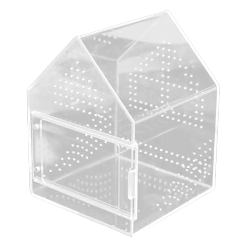 Ｚｉａｌｏｆｉ Springspinnen Terrarium Als Insektenbehälter Und Aufzuchtbox EIN Vogelspinnen Gehege für Skorpione Aus Schlagfestem Acryl für Die Dekoration von Wohn, 17cmx17cmx22cm von Ｚｉａｌｏｆｉ