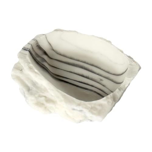 Zialofi Wasser Gericht Tank Decor Bade Pool für Chamäleon Amphibien Schildkröte Zialofi Wasser Gericht Tank Decor Bade Pool für Chamäleon Amphibien Schildkröte von Zialofi