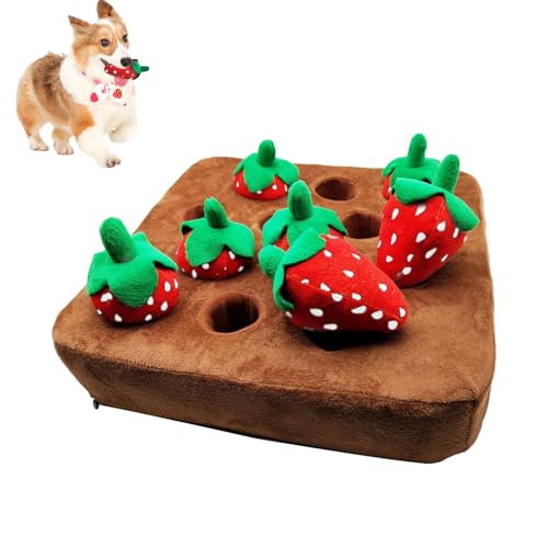 Schnüffelmatte, Versteckspiel, Hundespielzeug, Erdbeer-Plüsch-Hundespielzeug, 12 Erdbeer Hundespie-lzeug Für Hunde, Haustier Plüsch Trainingsspielzeug, Interaktives Spielzeug Kauspielzeug Für Hunde Schnüffelmatte, Versteckspiel, Hundespielzeug, Erdbeer-Plüsch-Hundespielzeug, 12 Erdbeer Hundespie-lzeug Für Hunde, Haustier Plüsch Trainingsspielzeug, Interaktives Spielzeug Kauspielzeug Für Hunde von Zibeem