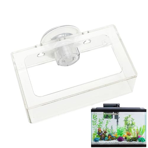 Zibeem Garnelenfuttergericht, Fischfutterfuttermittel | Nonrutschfischtank-Feeder mit Saugnapfbecher | Rotierender Lebensmittelhalter, Wiederverwendbare langsame Futterplatte für Guppy, Betta Zibeem Garnelenfuttergericht, Fischfutterfuttermittel | Nonrutschfischtank-Feeder mit Saugnapfbecher | Rotierender Lebensmittelhalter, Wiederverwendbare langsame Futterplatte für Guppy, Betta von Zibeem