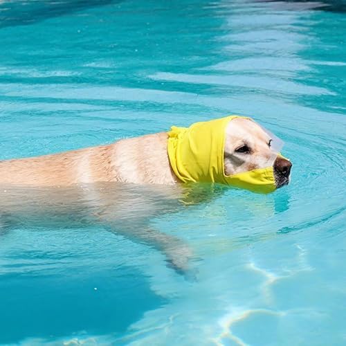 Zibeem Hund Dusch Ohrenschutz, Beruhigende Kapuze Wasserdichter Duschehut Für Hunde, Elastischer und Bequemer Kopfschutz für Welpen bei Schwimmtraining, Spaziergängen im Freien, Wasseraktivitäten und Zibeem Hund Dusch Ohrenschutz, Beruhigende Kapuze Wasserdichter Duschehut Für Hunde, Elastischer und Bequemer Kopfschutz für Welpen bei Schwimmtraining, Spaziergängen im Freien, Wasseraktivitäten und von Zibeem