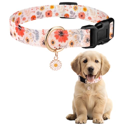 Sommer Hundehalsband Bunt, Blume & Dinosaurier-Designhundeleine mit Schnellverschluss Kunststoffschnalle, Komfortable Baumwolle Halsband für Jungen und Mädchen Hunde (Blumen, L(Hals:36-60cm)) von Zidoley
