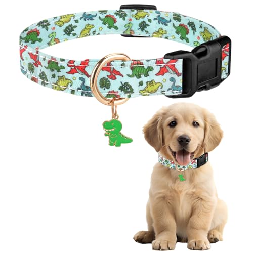 Sommer Hundehalsband Bunt, Blume & Dinosaurier-Designhundeleine mit Schnellverschluss Kunststoffschnalle, Komfortable Baumwolle Halsband für Jungen und Mädchen Hunde (Dinosaurier, S(Hals:20-30cm)) von Zidoley