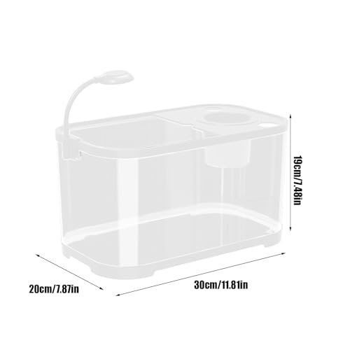 Aquarium Starter Kit | Glas Desktop -Fischtank mit Filter & Licht | Stummes für Betta, Schildkröte, Wasserhüter | Dekorative Home Aquarium Bowl | Tropisches -Süßwasser Aquarium Starter Kit | Glas Desktop -Fischtank mit Filter & Licht | Stummes für Betta, Schildkröte, Wasserhüter | Dekorative Home Aquarium Bowl | Tropisches -Süßwasser von Ziennhu