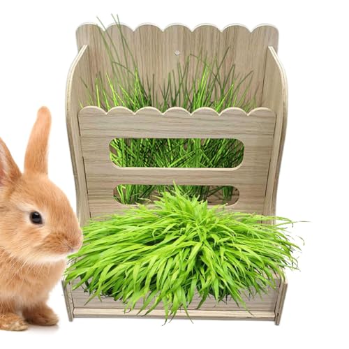 Grasfutterautomaten - Ziegenarschloch, hölzerne Heustütze für kleine Tiere, Kaninchenfuttermittel, Heustein für Meerschweinchen, Anti -Gaspillage -Feeder für kleine Tiere von Ziennhu