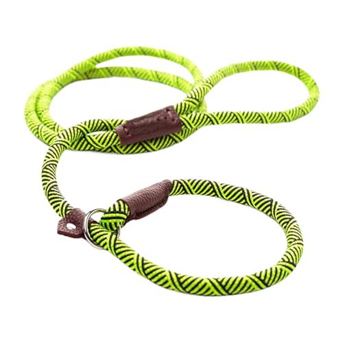 Hundeleine, Dressurleine für Hunde, gepolstert, weicher Griff, Seil für Welpen und kleine, mittelgroße und große Hunde, 1,2 und 1,5 m Hundeleine, Dressurleine für Hunde, gepolstert, weicher Griff, Seil für Welpen und kleine, mittelgroße und große Hunde, 1,2 und 1,5 m von Ziennhu