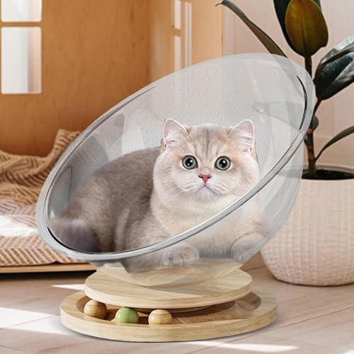 Katzenbett, Katzenhaus, transparent, freistehend, Möbel für Katzen, Zubehör für Haustiere, Stall, Aktivitätszentrum, einfache Reinigung Katzenbett, Katzenhaus, transparent, freistehend, Möbel für Katzen, Zubehör für Haustiere, Stall, Aktivitätszentrum, einfache Reinigung von Ziennhu